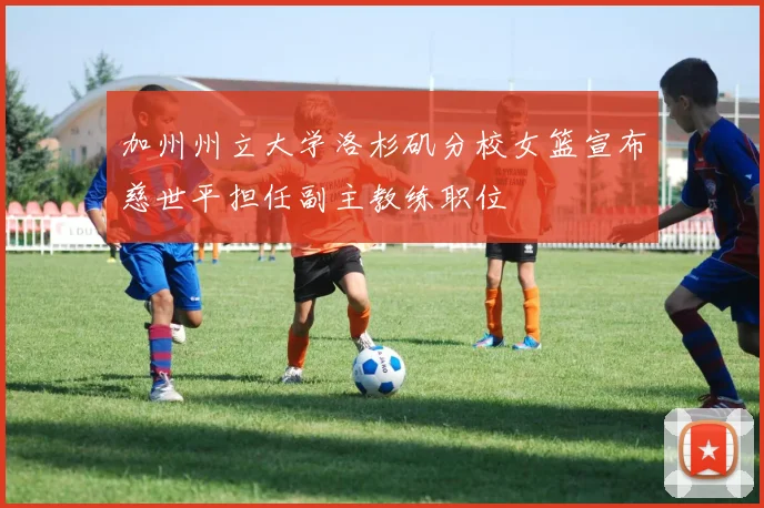 加州州立大学洛杉矶分校女篮宣布慈世平担任副主教练职位