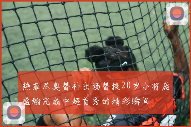 热菲尼奥替补出场替换20岁小将庞盛翰完成中超首秀的精彩瞬间