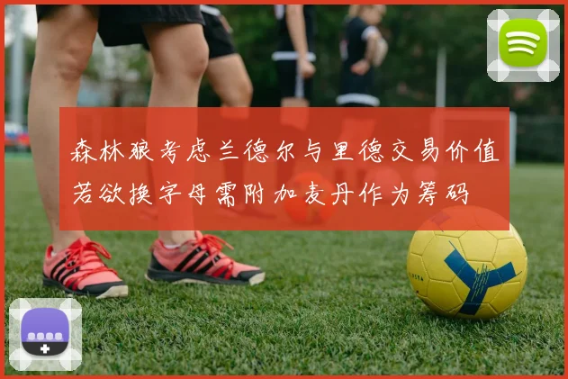 森林狼考虑兰德尔与里德交易价值若欲换字母需附加麦丹作为筹码