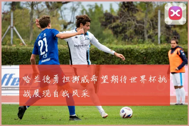 哈兰德勇担挪威希望期待世界杯挑战展现自我风采