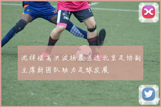 沈祥福高洪波杨晨当选北京足协副主席新团队助力足球发展